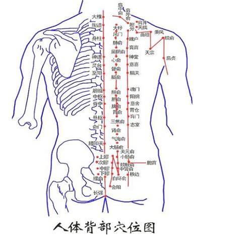 背部有痣代表什么|有痣在背，长寿富贵！背上各部位痣相命理详解